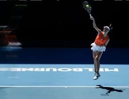 详解棒球规则中的“观众干预判定”当球迷直接在界内区域触球